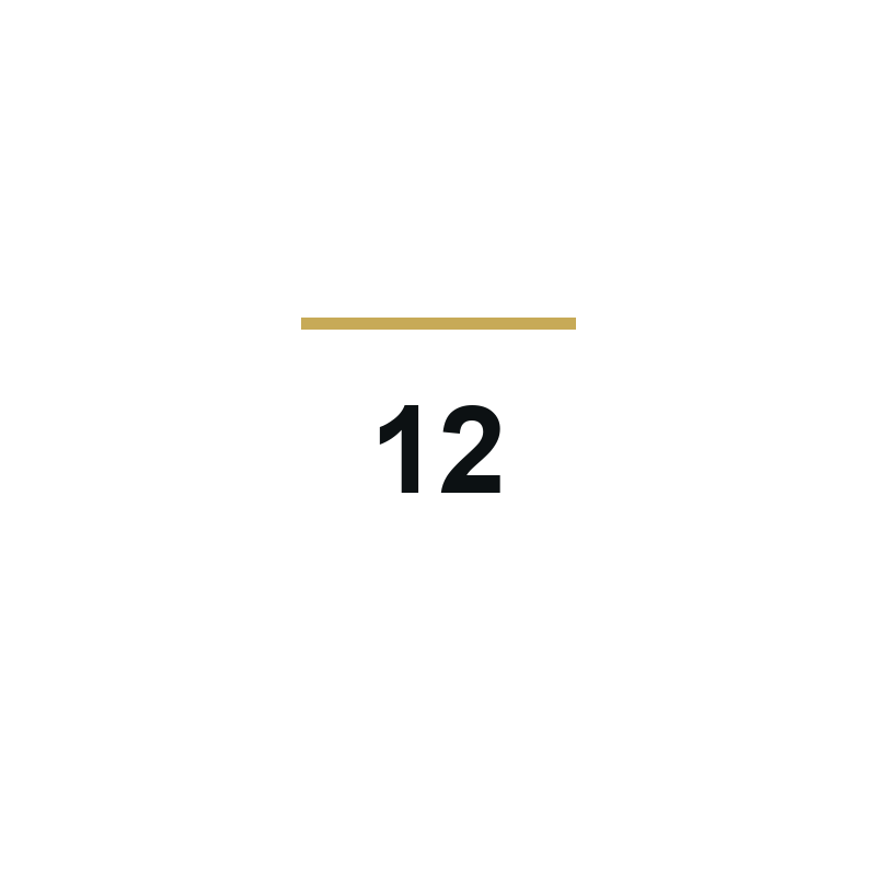 12 logotip