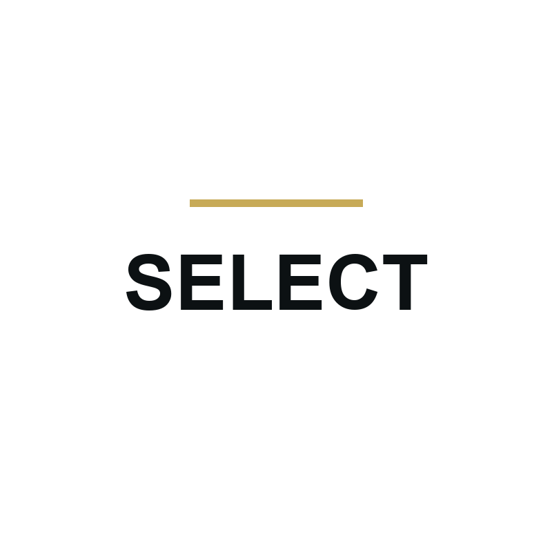Select logotip